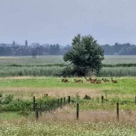 Apartament Berek Vendeghaz *