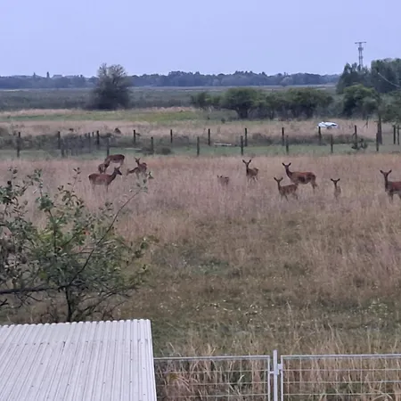 Berek Vendeghaz Fonyód