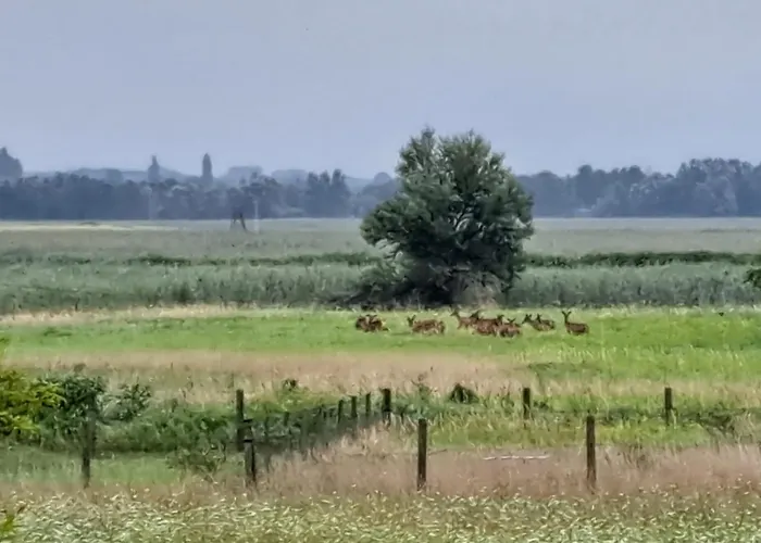 Apartmán Berek Vendeghaz *